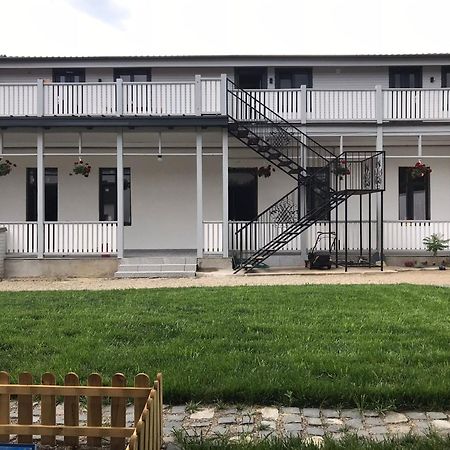 Garsoniera Delia Brasov Διαμέρισμα Εξωτερικό φωτογραφία